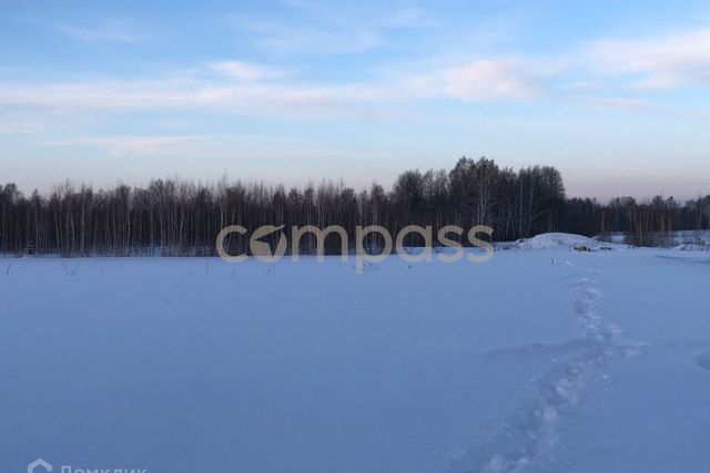 городской округ Тюмень, товарищество с ограниченной ответственностью Плодовое фото