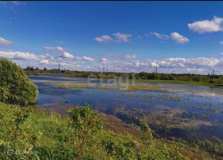 земля р-н Сокольский деревня Слобода фото 3