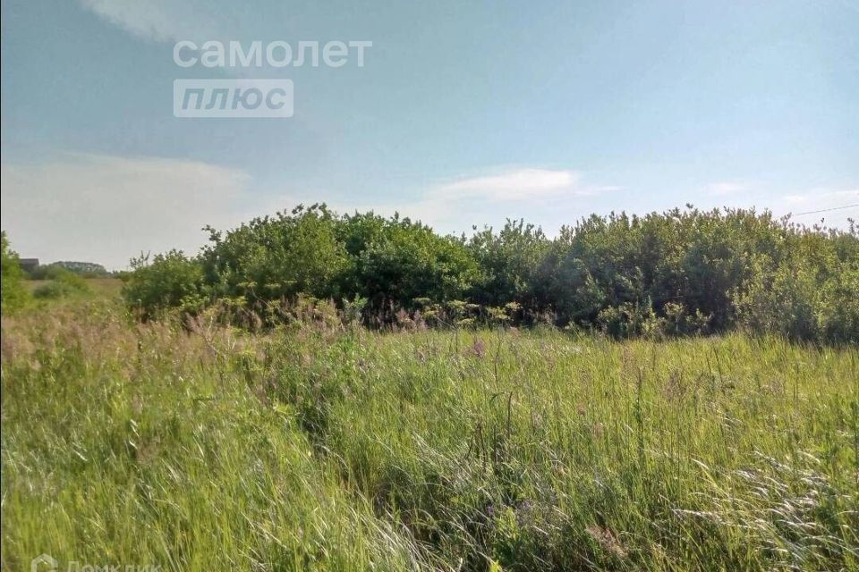 земля г Ялуторовск ул Комсомольская фото 3