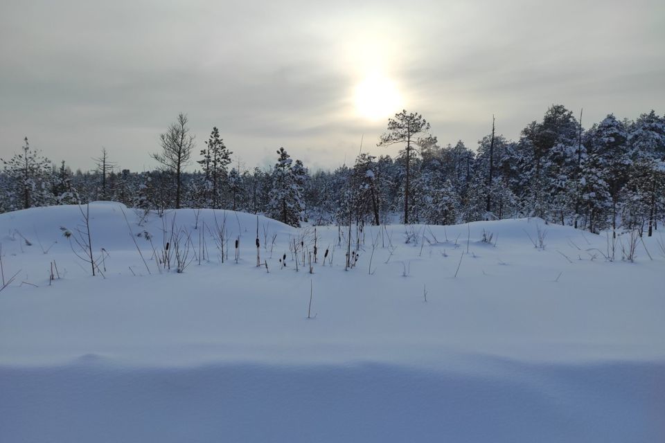 земля г Сургут тер ПСОК № 6 Витамин городской округ Сургут, 25-я улица, 684 фото 3