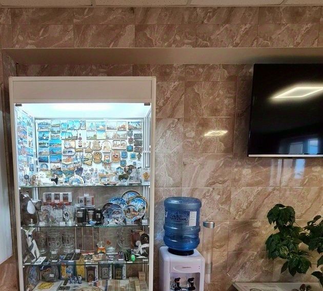 комната г Самара Победа ш Заводское 101 фото 8