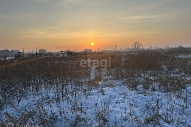 городской округ Абакан, Тракт-Индустриальный, Васильковая улица фото