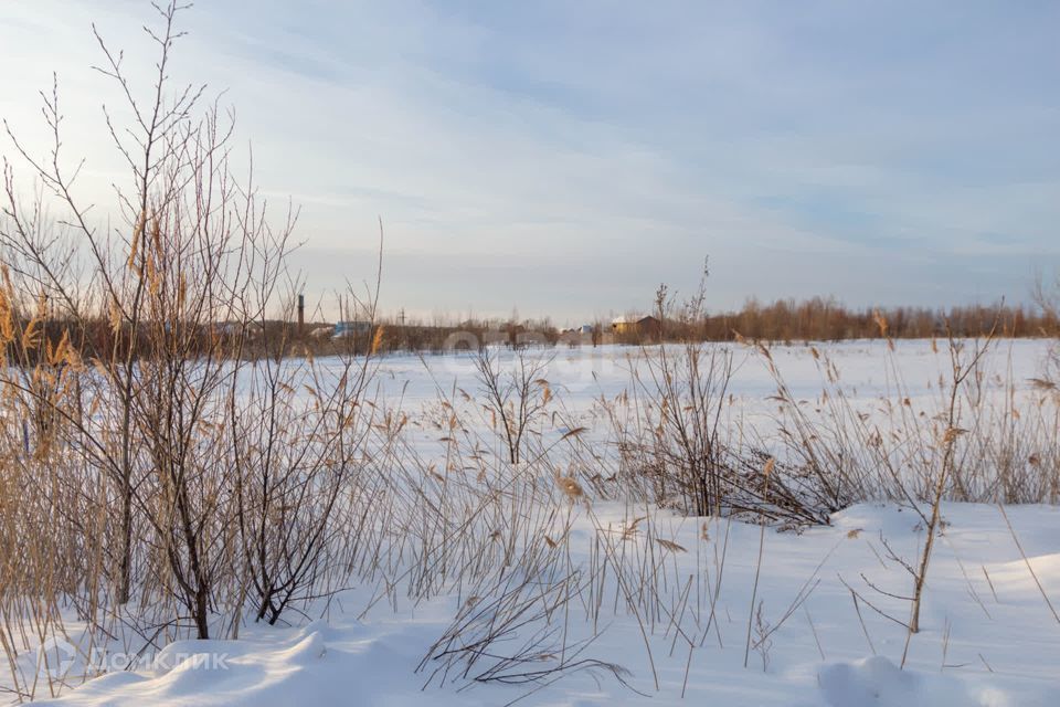 земля г Хабаровск ш Матвеевское городской округ Хабаровск фото 3