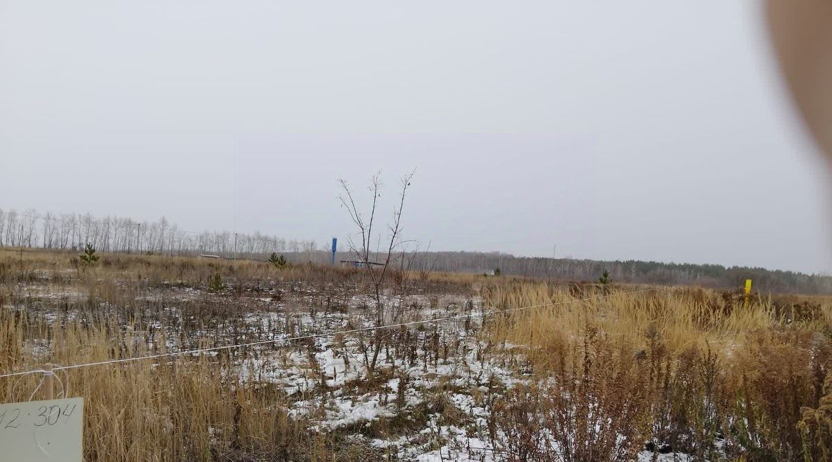 земля р-н Чишминский с Алкино-2 сельсовет, Лесной фото 1