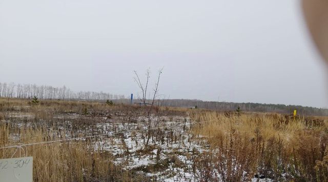 земля с Алкино-2 сельсовет, Лесной фото