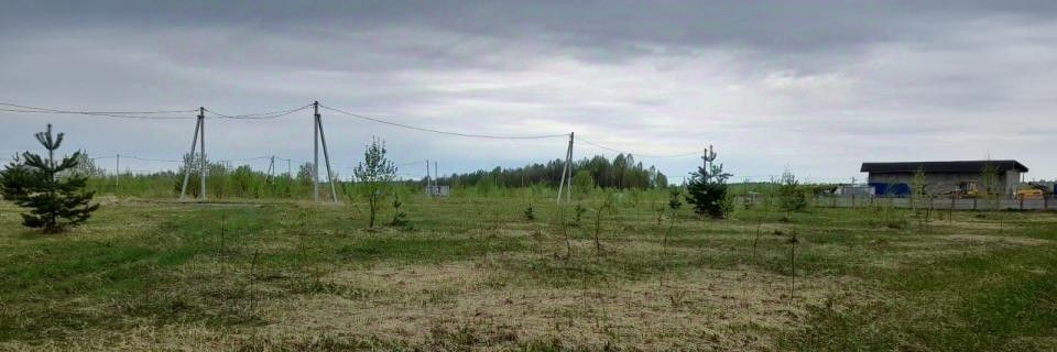 земля р-н Зеленодольский с Большие Кургузи Большекургузинское с/пос фото 3