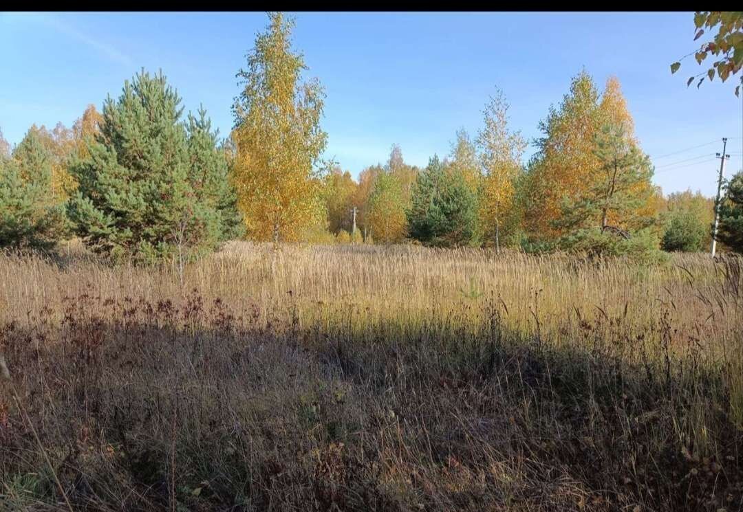 земля р-н Зеленодольский с Большие Ключи Осиново фото 6