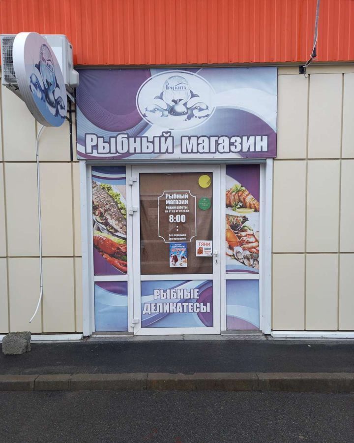 торговое помещение р-н Шпаковский г Михайловск заезд Климова 41 фото 1