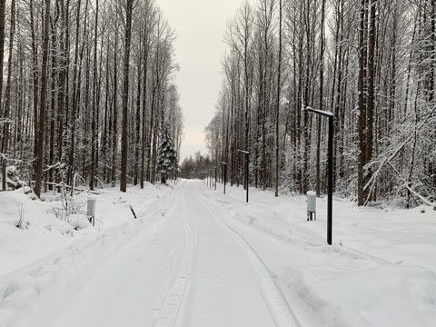 земля р-н Выборгский коттеджный посёлок Репиноф фото 5