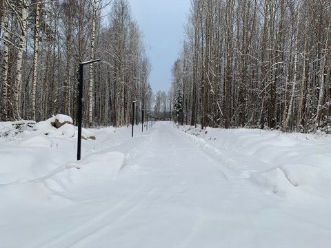 земля р-н Выборгский коттеджный посёлок Репиноф фото 6