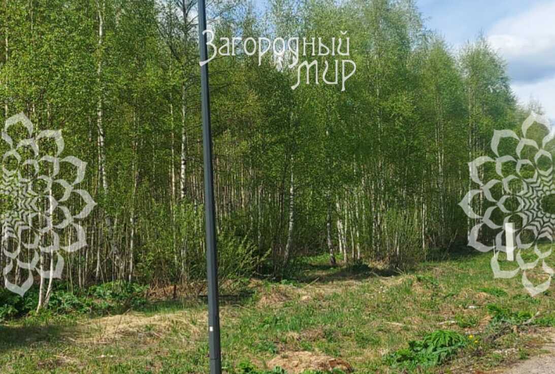 земля городской округ Истра д Бочкино Новорижское фото 2