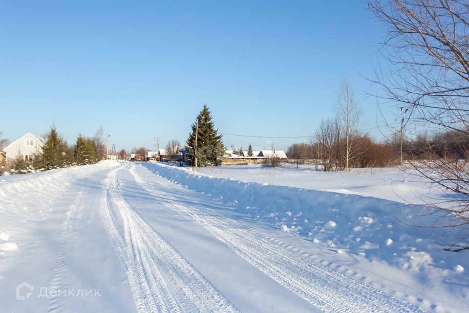 земля р-н Тобольский село Санниково фото 1