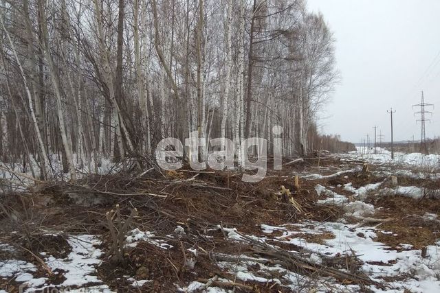 городской округ Комсомольск-на-Амуре, садовые участки фото