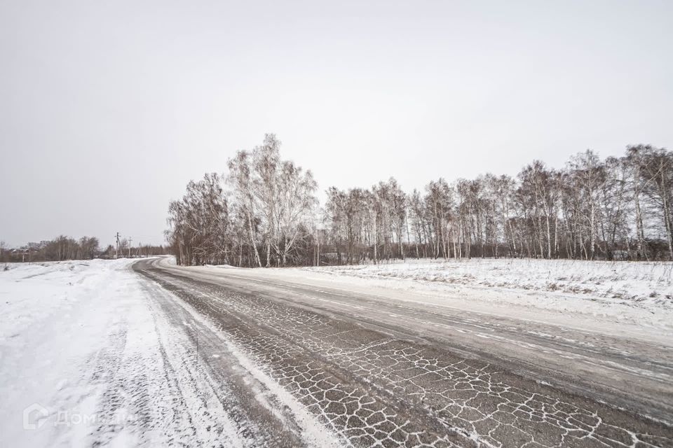 земля г Бердск городской округ Бердск, ТЛПХ Любавино фото 1