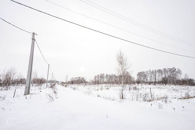 городской округ Бердск, ТЛПХ Любавино фото