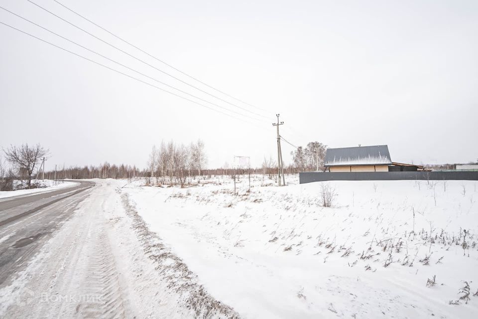 земля г Бердск городской округ Бердск, ТЛПХ Любавино фото 4