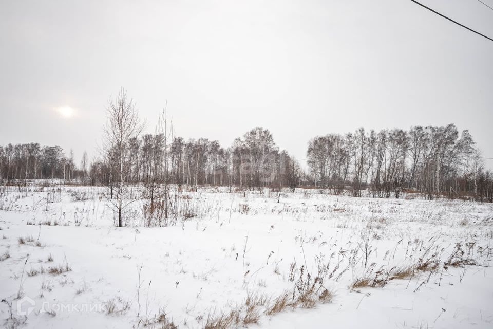 земля г Бердск городской округ Бердск, ТЛПХ Любавино фото 3