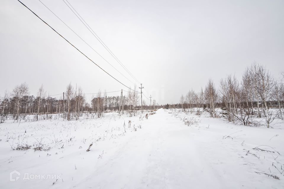 земля г Бердск городской округ Бердск, ТЛПХ Любавино фото 3