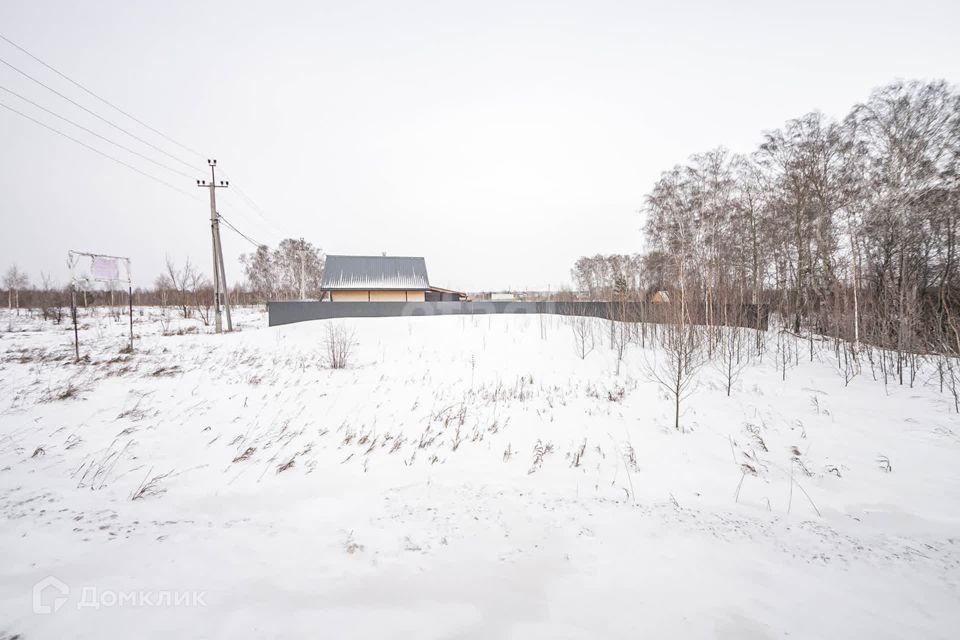 земля г Бердск городской округ Бердск, ТЛПХ Любавино фото 6