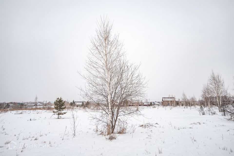 земля г Бердск городской округ Бердск, ТЛПХ Любавино фото 5