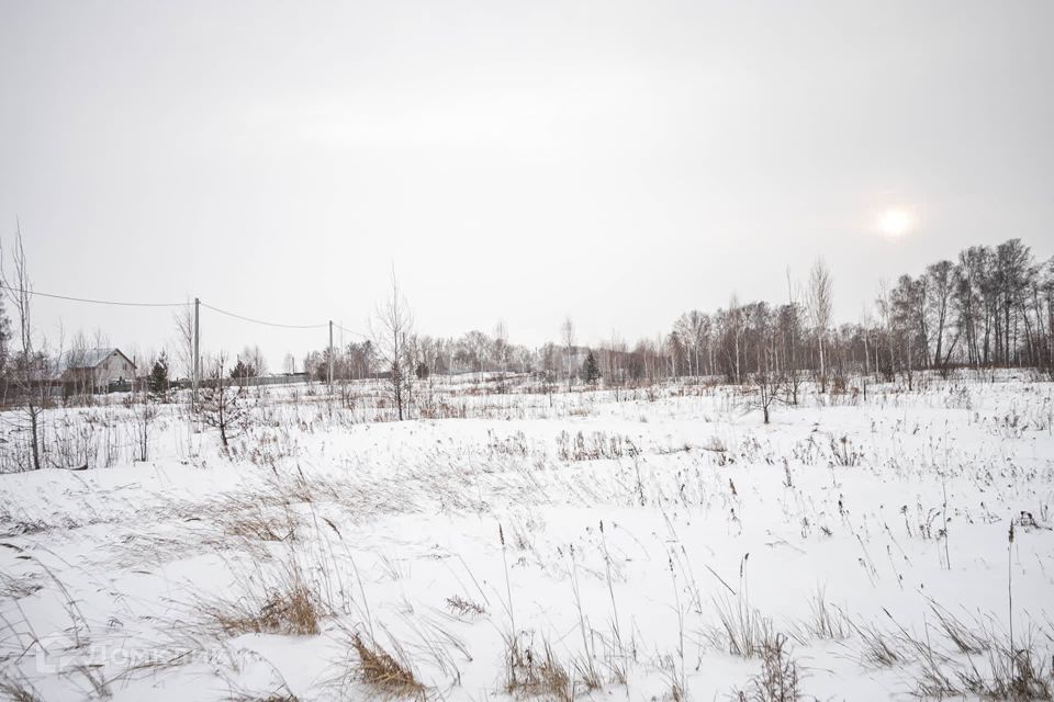 земля г Бердск городской округ Бердск, ТЛПХ Любавино фото 9