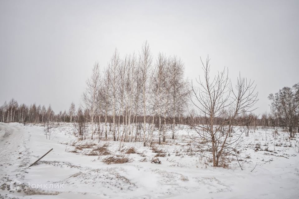 земля г Бердск городской округ Бердск, ТЛПХ Любавино фото 9