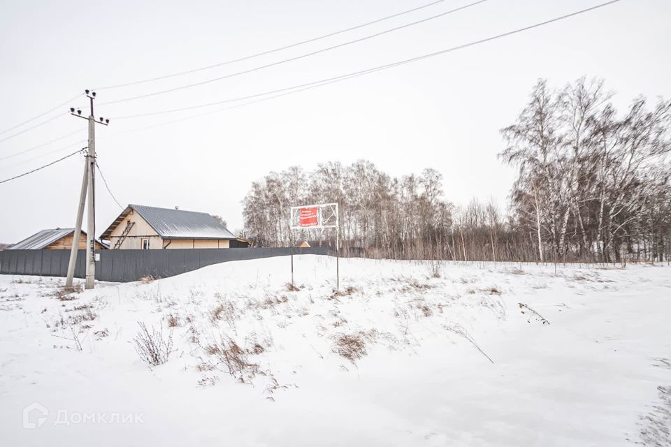 земля г Бердск городской округ Бердск, ТЛПХ Любавино фото 10