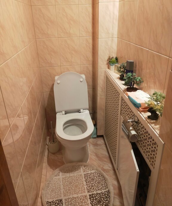 квартира г Раменское Залинейный Красный Октябрь Фабричная, 47А фото 11