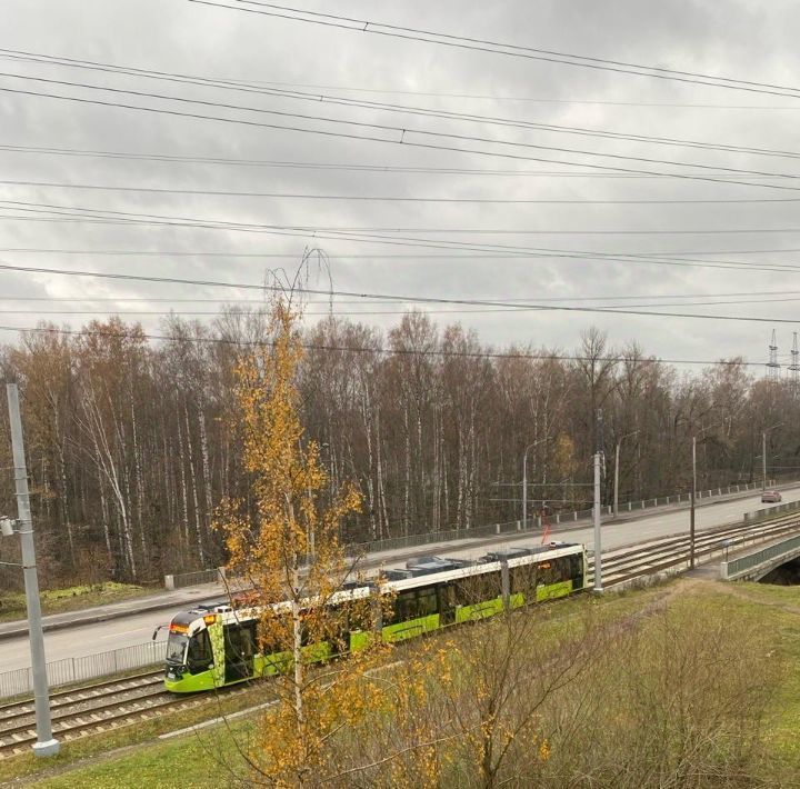 комната г Санкт-Петербург метро Ладожская ш Рябовское 59 фото 11