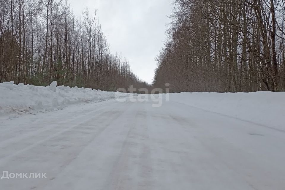 земля р-н Волховский деревня Черноушево фото 10