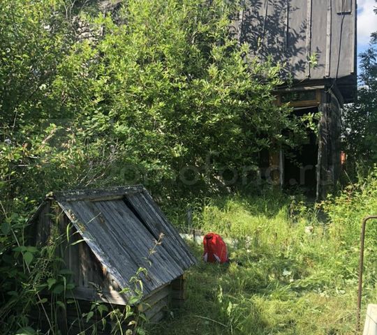 городской округ Сургут, садовое товарищество Энергостроитель фото