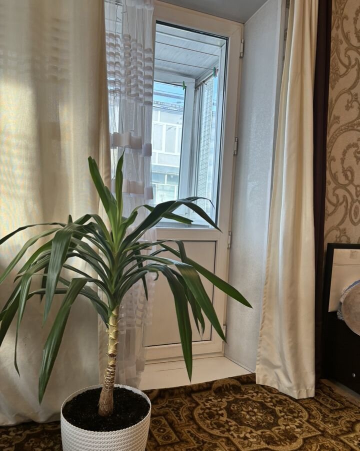 квартира г Петропавловск-Камчатский ул Давыдова 21 фото 7