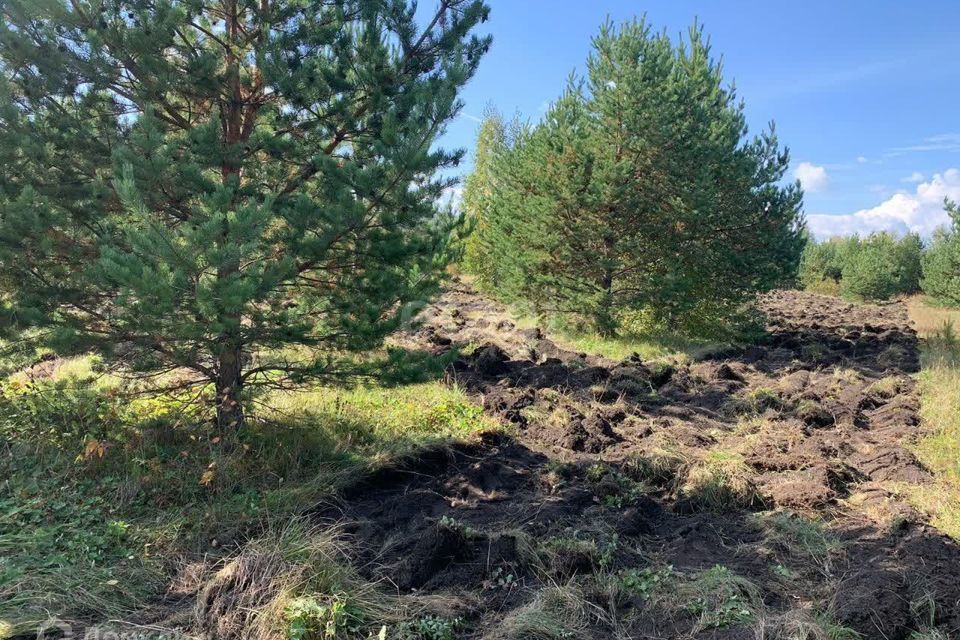 земля г Миасс с Сыростан пер Атлянский Миасский городской округ фото 3