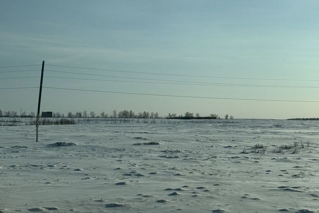 Покровский тракт, 16-й километр фото