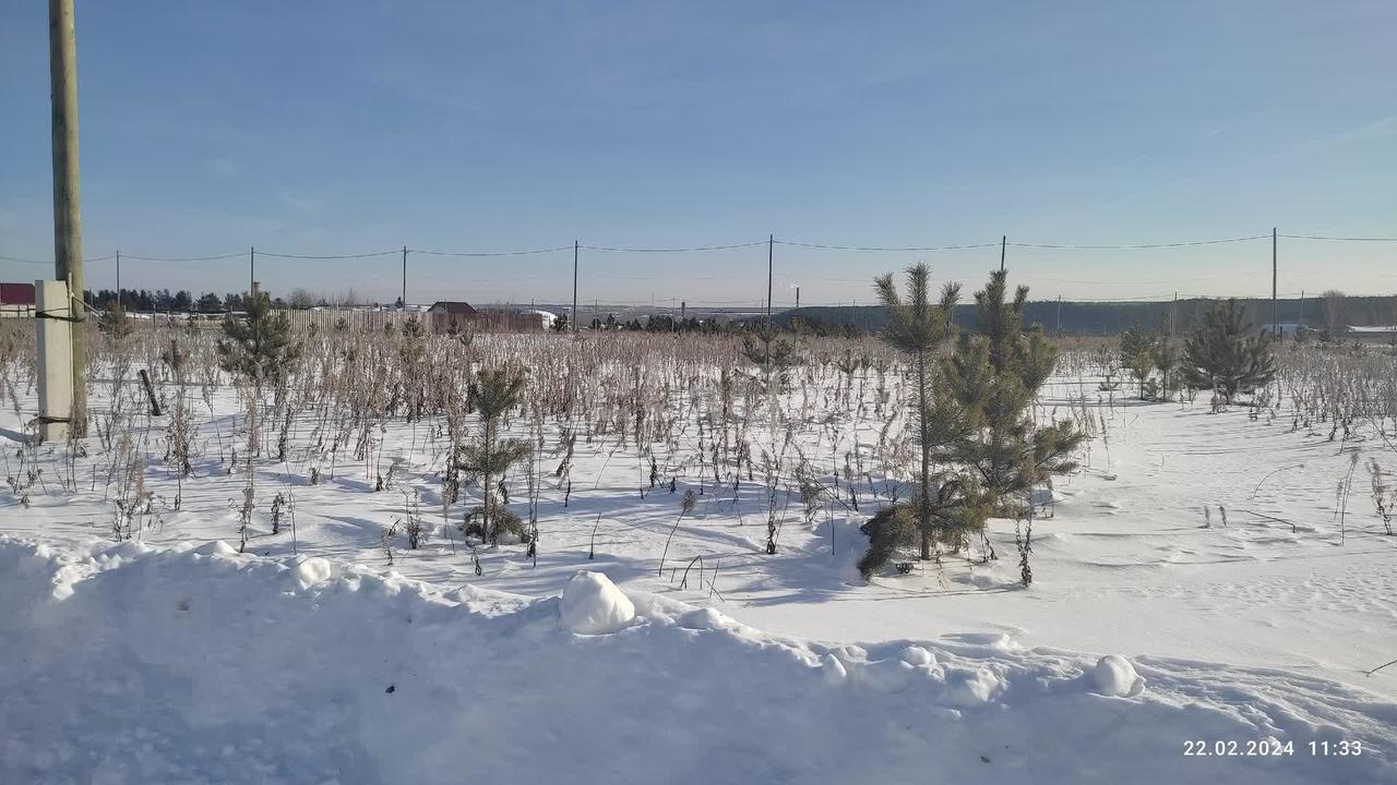 земля г Алапаевск Родонитовая, Екатеринбург фото 10