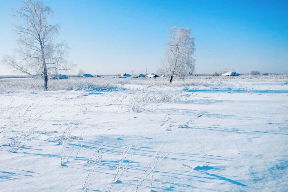 земля р-н Калининский деревня Симоново Бурашевское сельское поселение фото 3