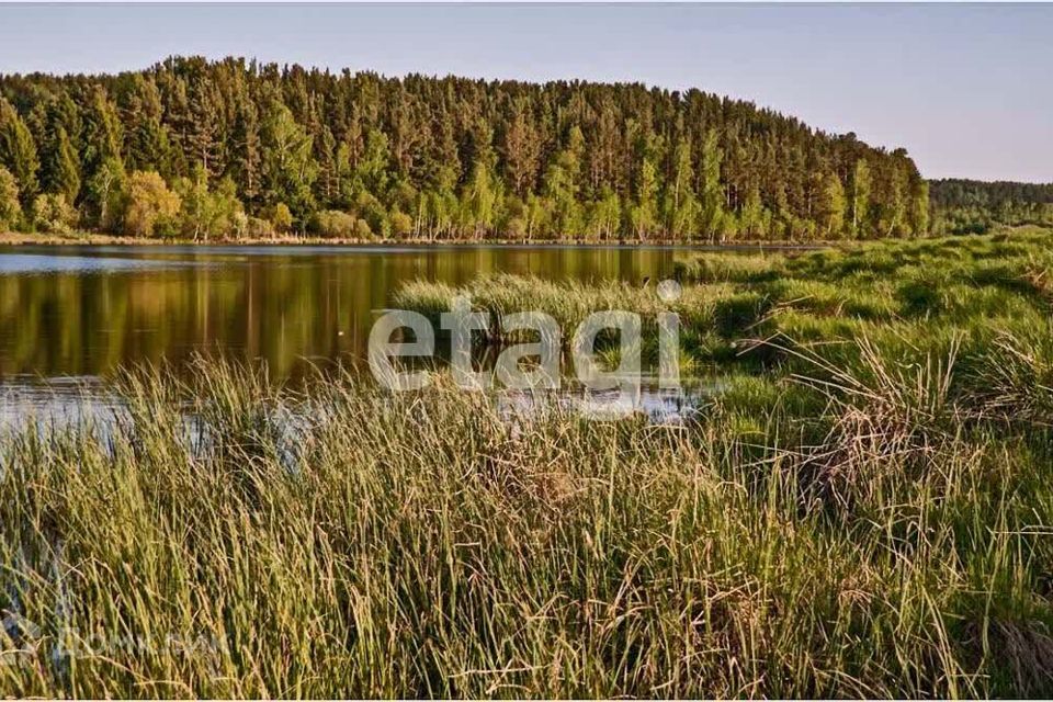 земля р-н Емельяновский село Устюг фото 2