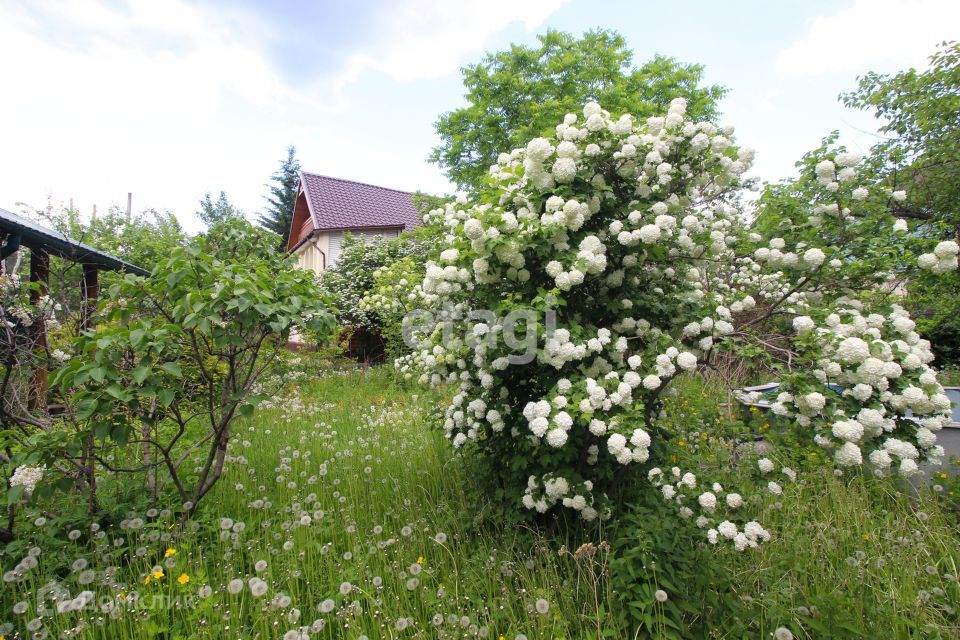 дом г Красноярск пер Послушников 10 городской округ Красноярск фото 8