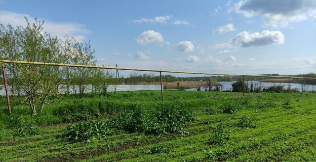 Бураковское сельское поселение, Кореновск фото