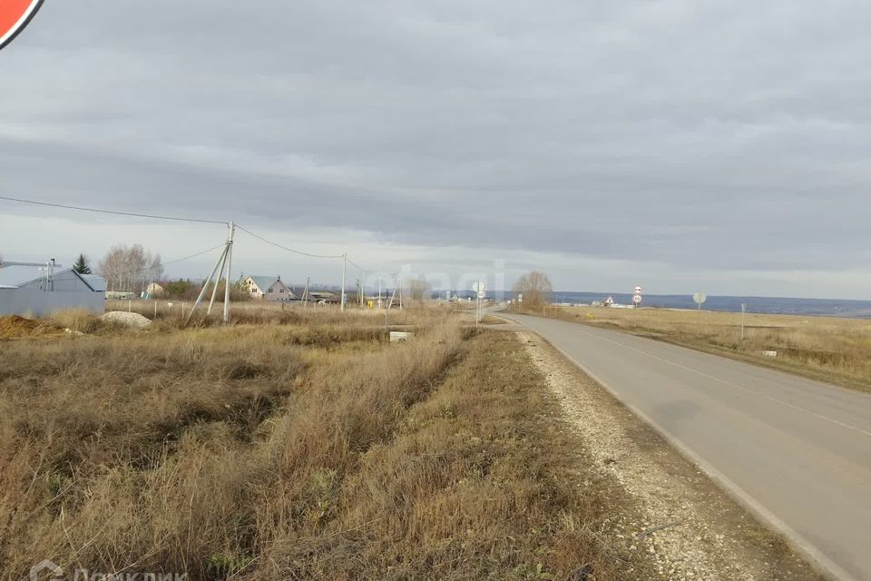 земля городской округ Саранск, село Куликовка фото 4