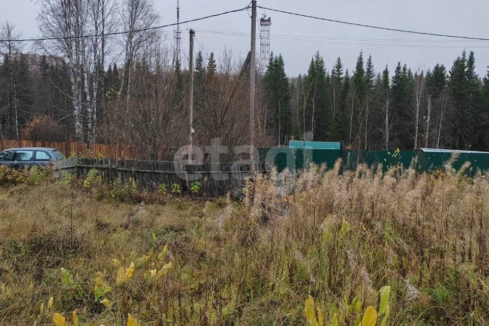 земля г Ухта городской округ Ухта, садоводческое товарищество Земляничная Поляна фото 5