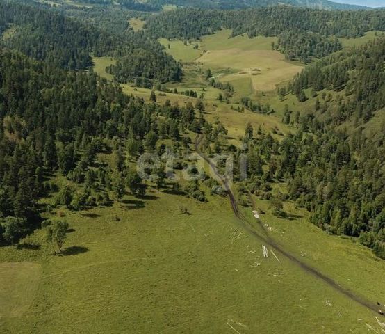 земля с Шебалино ул Советская фото