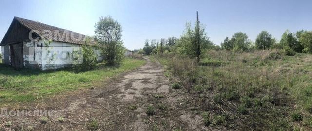 земля посёлок Логовое фото