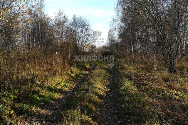 ш Векторное городской округ Кольцово фото