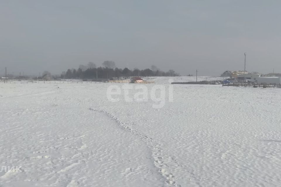 земля р-н Березовский с Есаулово ул Туполева фото 4