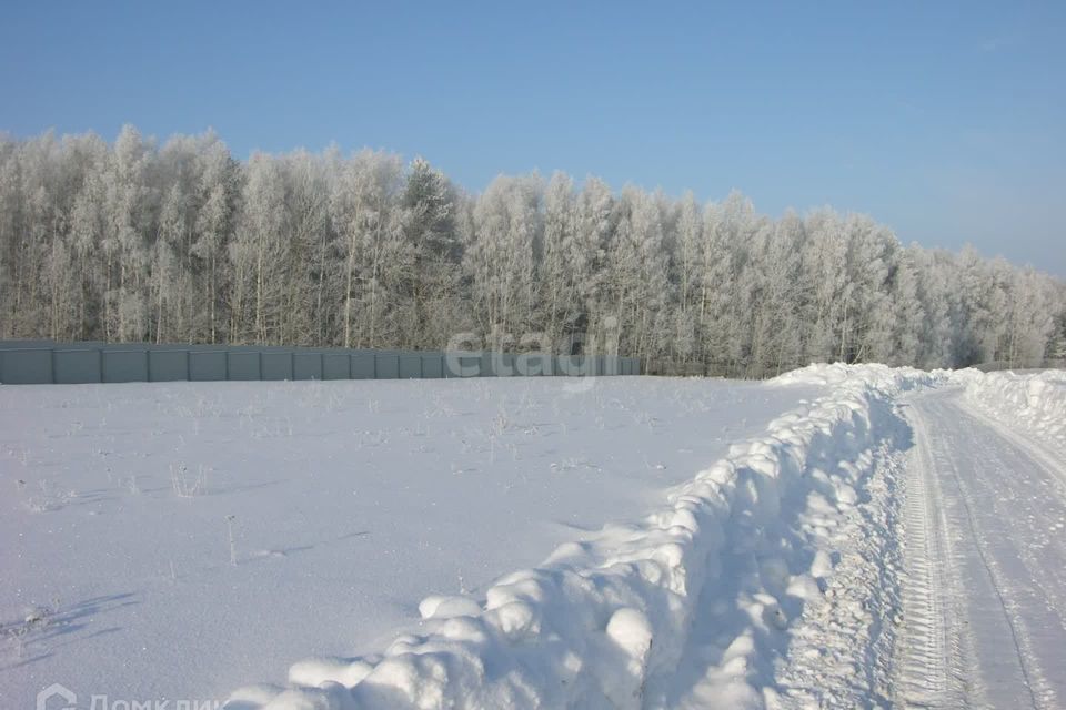 земля г Сосновоборск городской округ Сосновоборск, микрорайон 12А фото 5