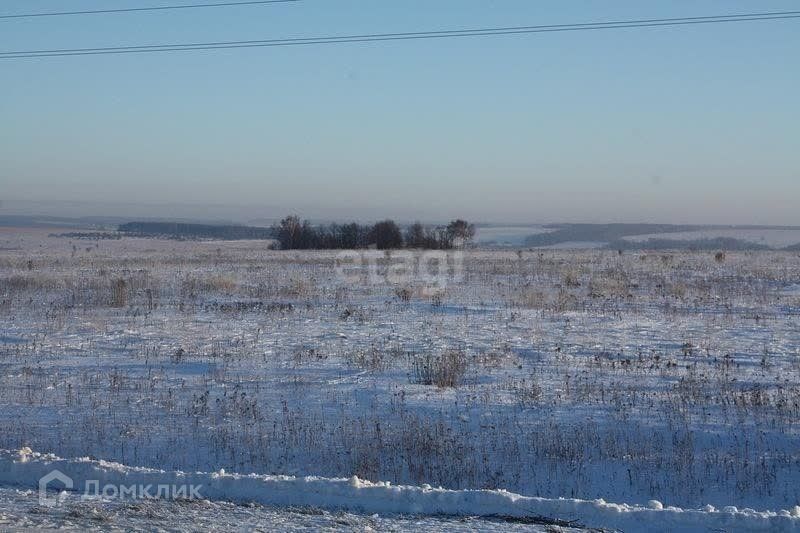 земля г Сосновоборск городской округ Сосновоборск, микрорайон 12А фото 5