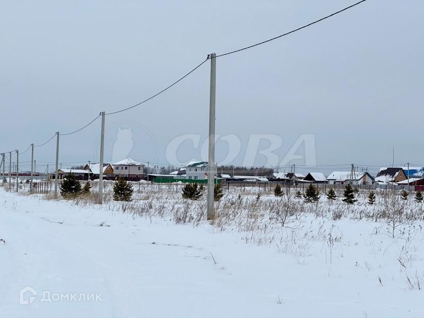 земля р-н Тюменский село Борки фото 7