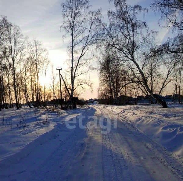 земля р-н Кетовский д Белый Яр пер Васильковый 7-й фото 3