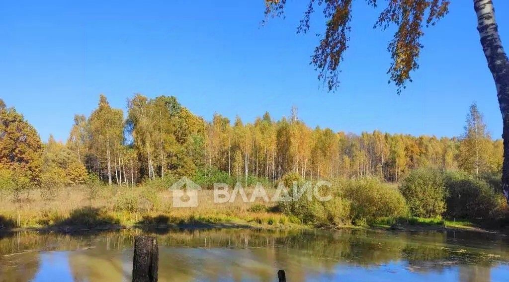 дом р-н Ферзиковский с Грабцево Деревня Горневская сл фото 7